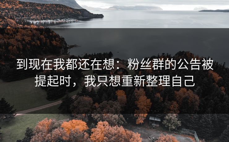 到现在我都还在想：粉丝群的公告被提起时，我只想重新整理自己